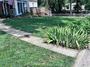 Carolyn S.'s turf maintenance service result