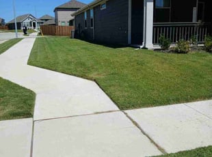 Rebecca S.'s turf maintenance service result
