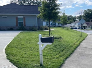 Bernie O.'s lawn care services service result