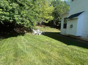 Jasiah G.'s lawn maintenance service result