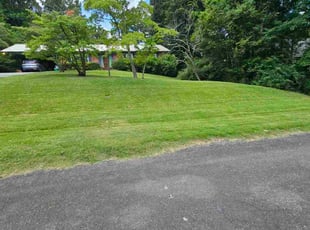 Alexa D.'s lawn care services service result