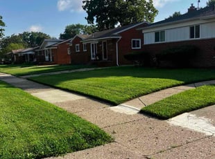 Holly A.'s turf care service result