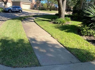 Cary B.'s lawn maintenance service result