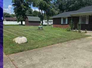 Tabitha B.'s lawn care services service result