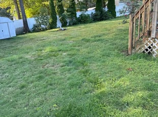 Alan S.'s lawn care services service result