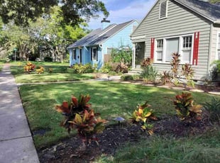 Tamara H.'s lawn maintenance service result