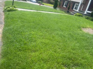 Angela M.'s lawn care services service result