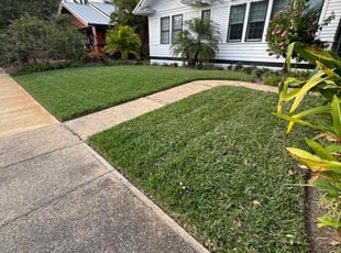 Carroll A.'s turf care service result