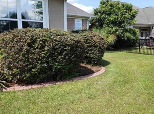 Erica S.'s Bush Trimming service result