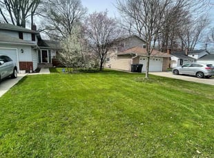 Tom S.'s lawn care service result
