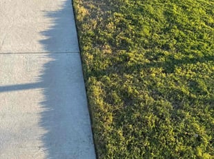 Chris M.'s grass maintenance service result