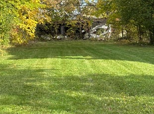Mark P.'s lawn care services service result