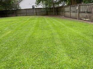 George S.'s grass maintenance service result