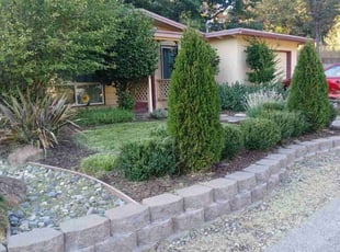 Alvin C.'s lawn care service result