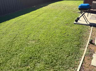Ken P.'s turf care service result