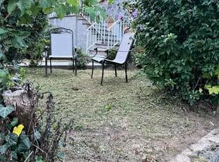 Genesis G.'s grass cutting service result