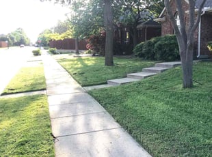Chassity D.'s lawn maintenance service result