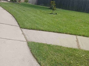Natalie A.'s lawn care service result