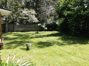 Synita H.'s lawn care services service result