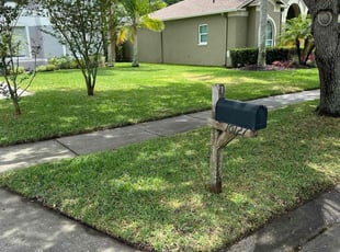 Danyelle R.'s grass maintenance service result