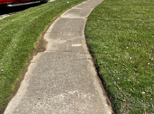 James R.'s turf maintenance service result