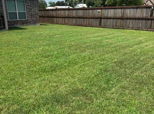 Sav A.'s lawn care services service result