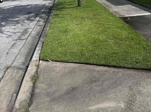 Sally W.'s lawn service service result