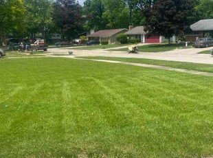 Shellena T.'s turf care service result