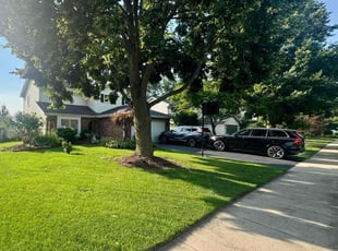 Tracy M.'s lawn maintenance service result