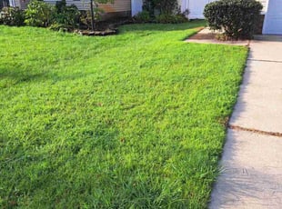 Valerie G.'s lawn care service result