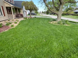 Dawn R.'s lawn service service result