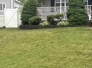 Sequora M.'s grass cutting service result