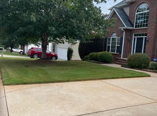 Susan C.'s lawn care service result