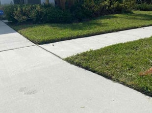 Rob F.'s lawn maintenance service result
