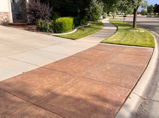 Vicky J.'s grass cutting service result