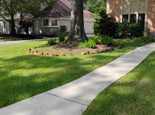Mary R.'s turf maintenance service result
