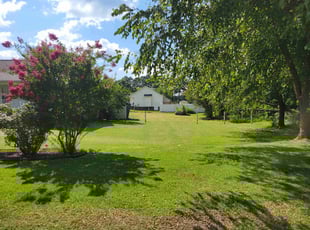 Sander S.'s turf care service result