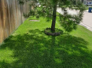 Julian C.'s lawn service service result