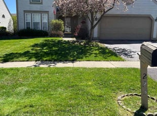 Kim M.'s grass maintenance service result