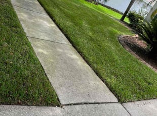 Deanna A.'s lawn service service result