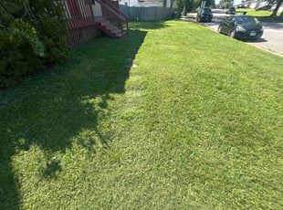 Harrison R.'s lawn care services service result