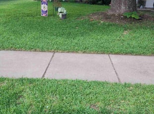 Victor D.'s lawn service service result