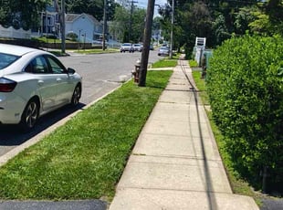 Thaddius H.'s turf maintenance service result