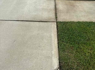 Jodi P.'s lawn maintenance service result