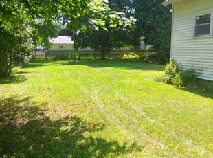 Brian b.'s lawn care service result