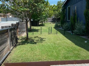 Donna O.'s grass cutting service result