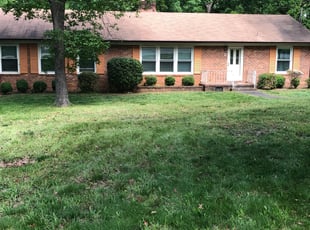 Robert G.'s Bush Trimming service result