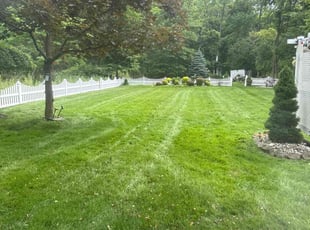 John D.'s lawn care services service result
