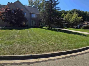 Jody S.'s turf care service result