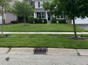 Latarsha W.'s lawn care service result
